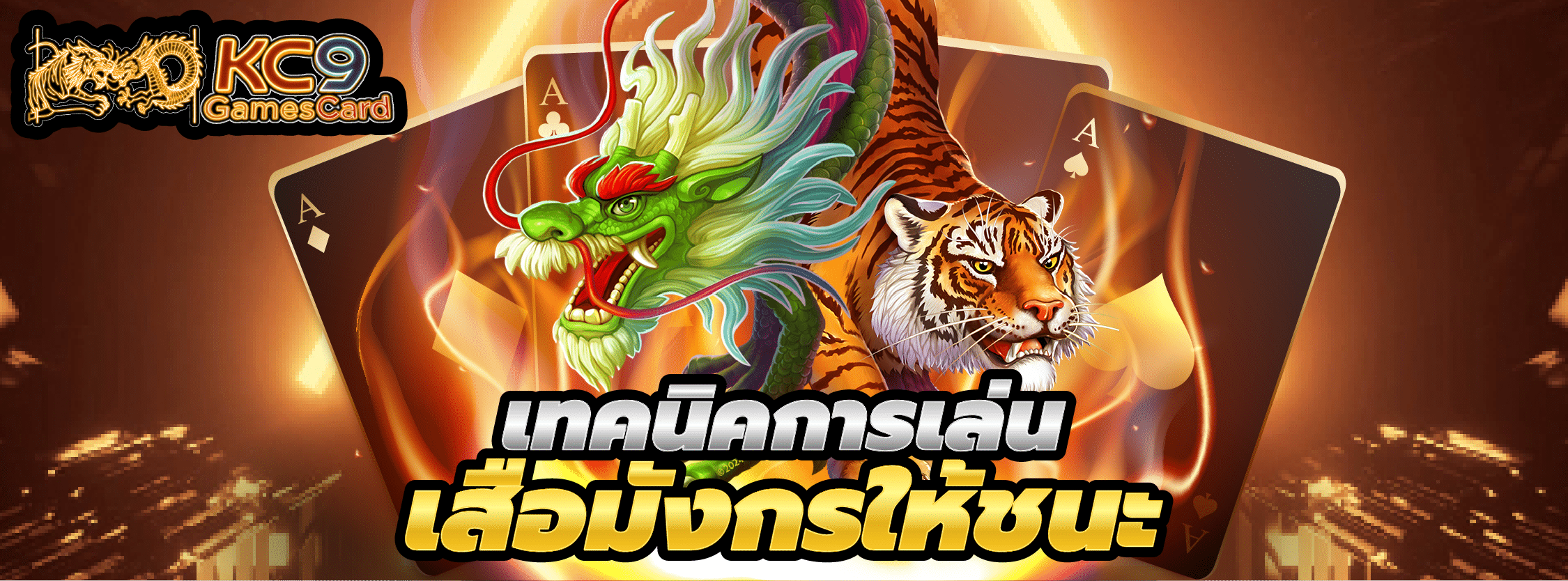 เทคนิคการเล่นเสือมังกร