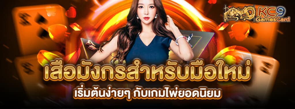 เสือมังกรสำหรับมือใหม่
