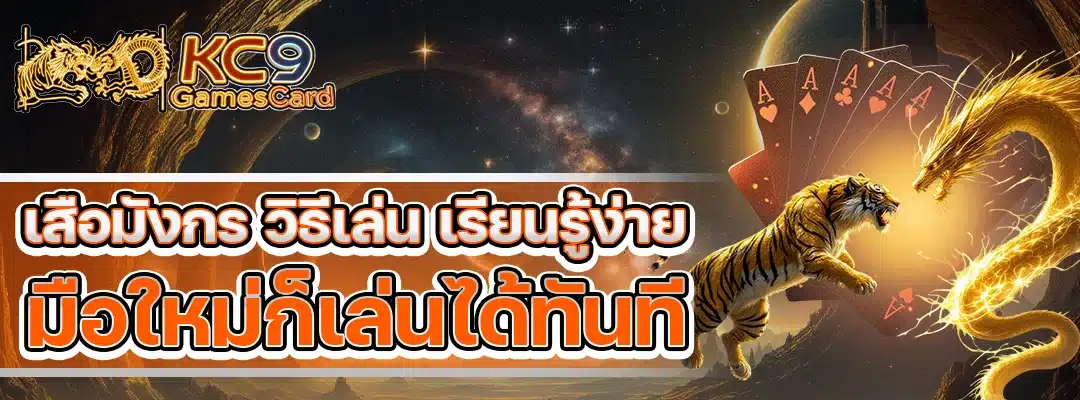 เสือมังกร วิธีเล่น