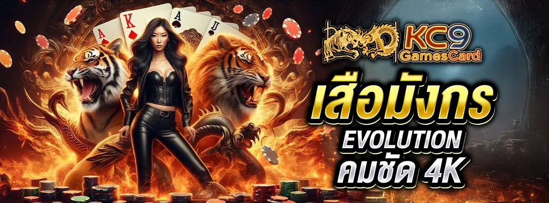 เสือมังกร Evolution
